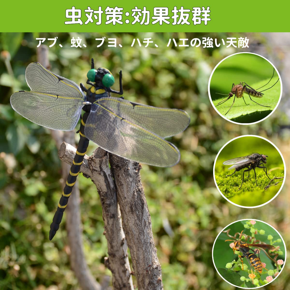 Amazon.co.jp: 天敵で虫除けオニヤンマ 2024年モデル12CM級【本物と